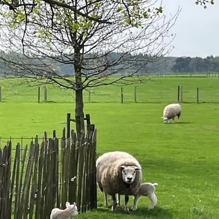 Natuurhuisje Het Steenuiltje Op Prachtige Plek 펜션 *