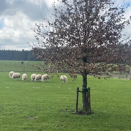 Nyaraló Natuurhuisje Het Steenuiltje Op Prachtige Plek Wekerom