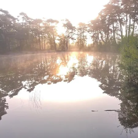 Natuurhuisje Het Steenuiltje Op Prachtige Plek 펜션 Wekerom