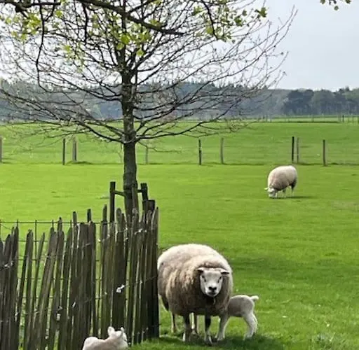 Natuurhuisje Het Steenuiltje Op Prachtige Plek Сasa de vacaciones *