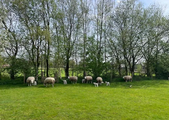 Сasa de vacaciones Natuurhuisje Het Steenuiltje Op Prachtige Plek