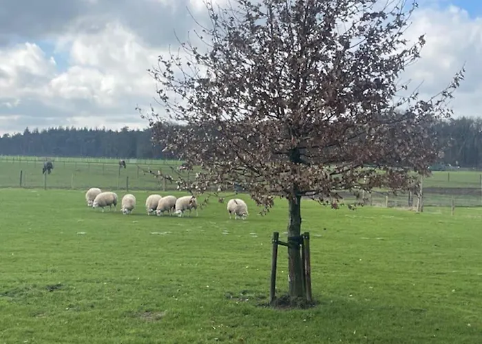 Сasa de vacaciones Natuurhuisje Het Steenuiltje Op Prachtige Plek Wekerom