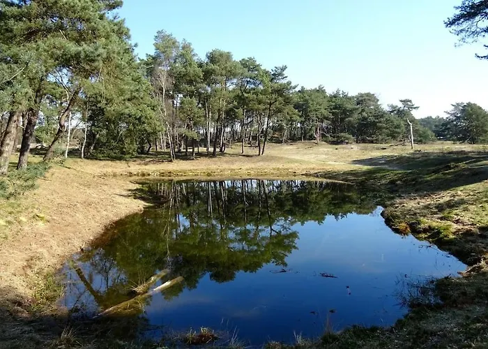 Сasa de vacaciones Natuurhuisje Het Steenuiltje Op Prachtige Plek Wekerom
