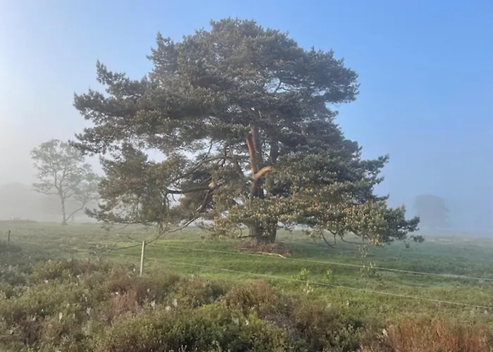 Natuurhuisje Het Steenuiltje Op Prachtige Plek * Wekerom