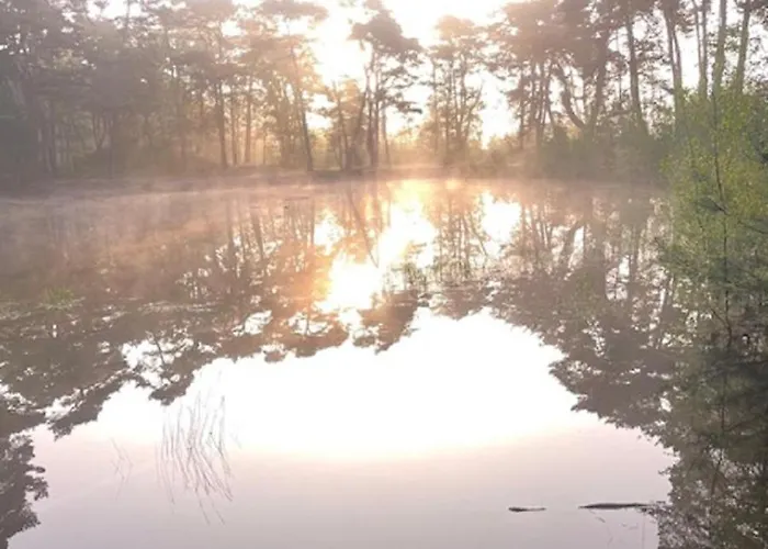 Natuurhuisje Het Steenuiltje Op Prachtige Plek Сasa de vacaciones Wekerom