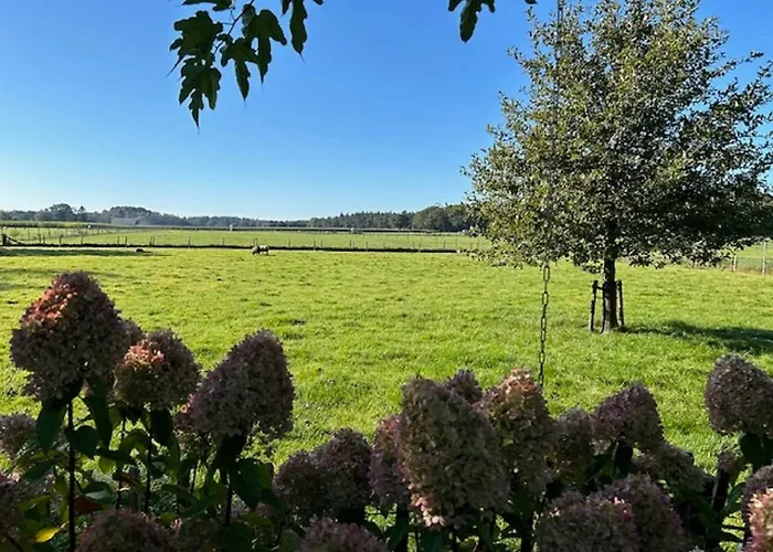 Natuurhuisje Het Steenuiltje Op Prachtige Plek * Wekerom