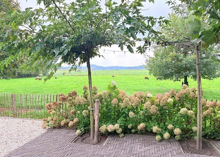 Natuurhuisje Het Steenuiltje Op Prachtige Plek *