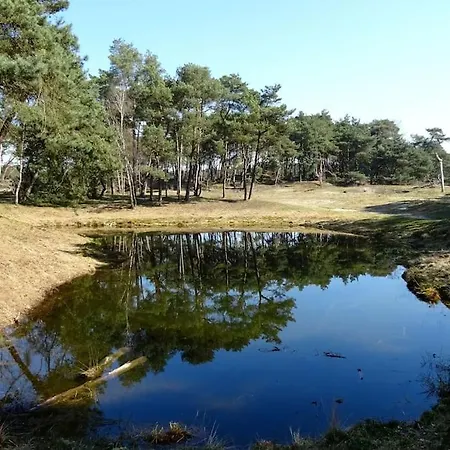 Vakantiehuis Natuurhuisje Het Steenuiltje Op Prachtige Plek Wekerom