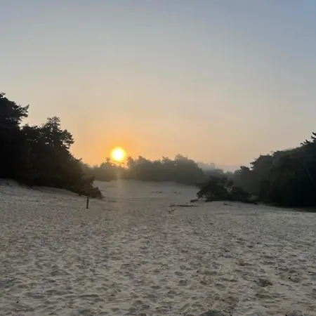 Vakantiehuis Natuurhuisje Het Steenuiltje Op Prachtige Plek Wekerom