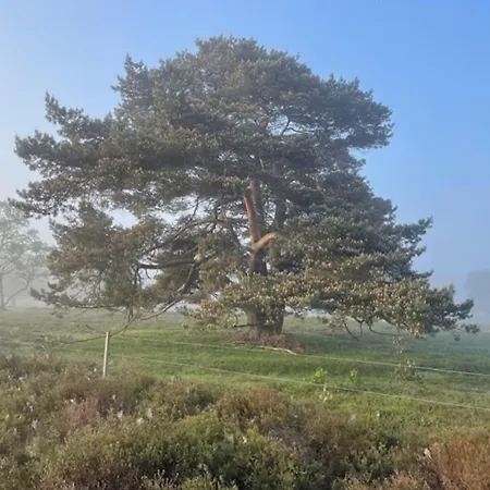 Natuurhuisje Het Steenuiltje Op Prachtige Plek * Wekerom