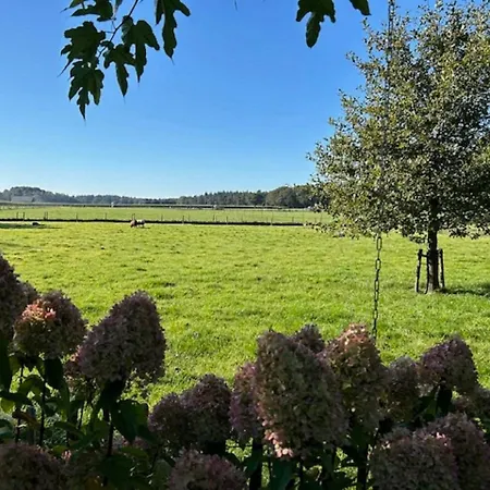 Natuurhuisje Het Steenuiltje Op Prachtige Plek * Wekerom