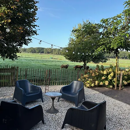 Natuurhuisje Het Steenuiltje Op Prachtige Plek Vakantiehuis *