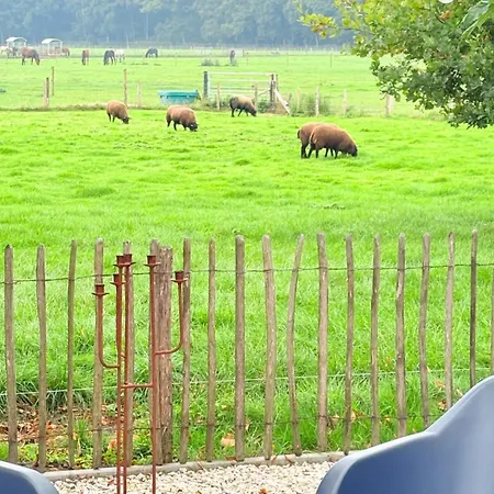 Vakantiehuis Natuurhuisje Het Steenuiltje Op Prachtige Plek Wekerom